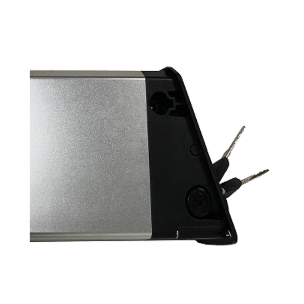 Cubierta de batería Z20 PLUS 1000 (un juego)