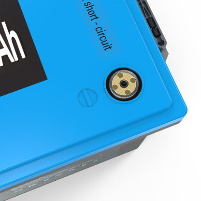 Geleipu 12V 300Ah LiFePO4 Batterie